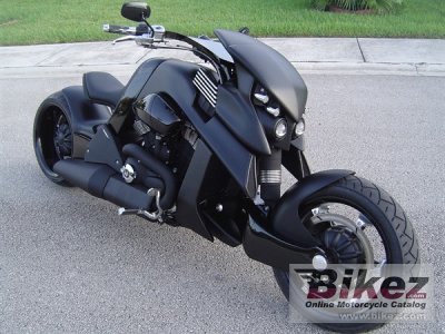 2013 Travertson V-Rex photo